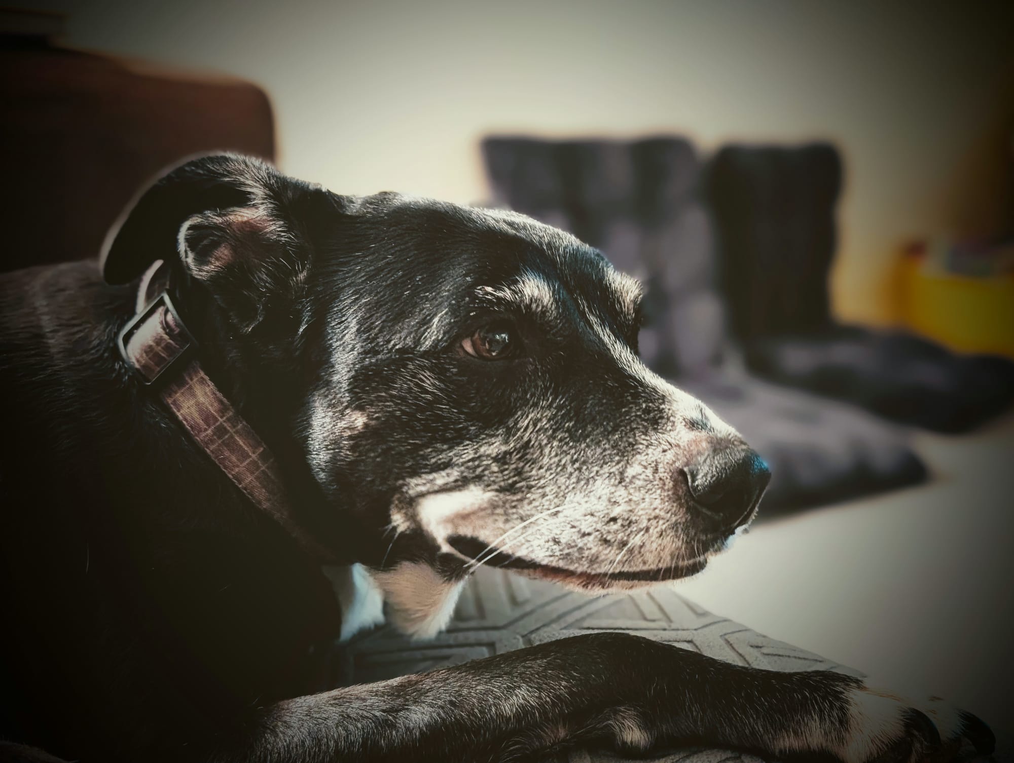 I'd Rather Forget and Not Slow Down